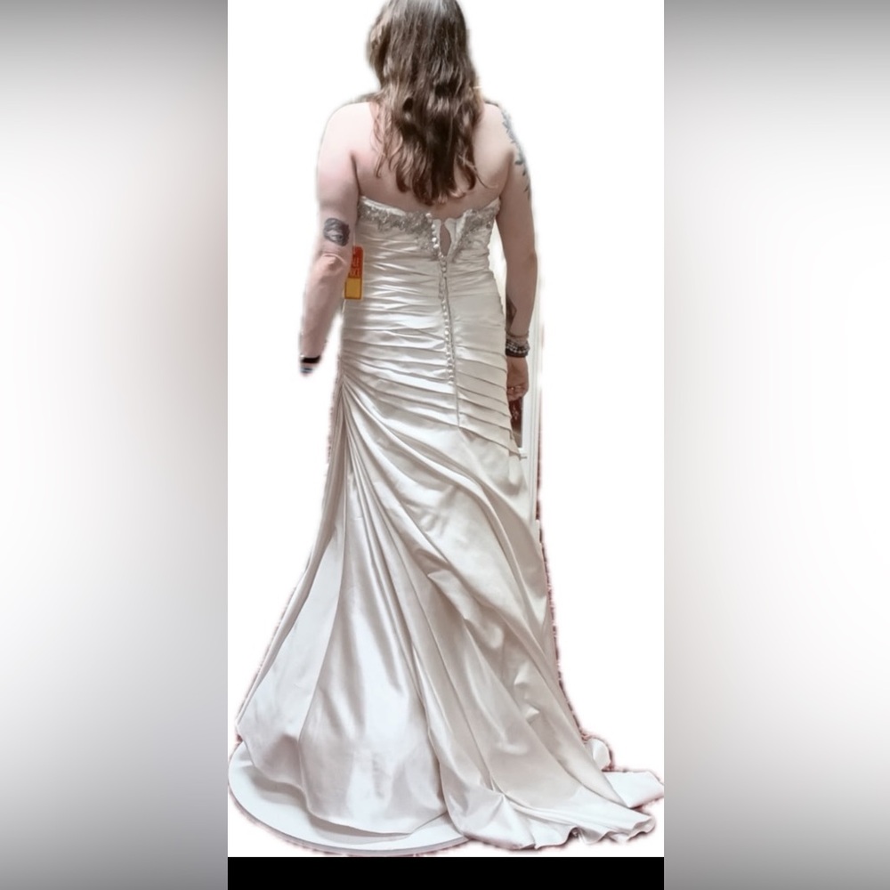 Stunning Wedding Dress - Picture 2 of 5